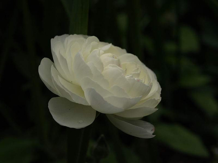 P4232141