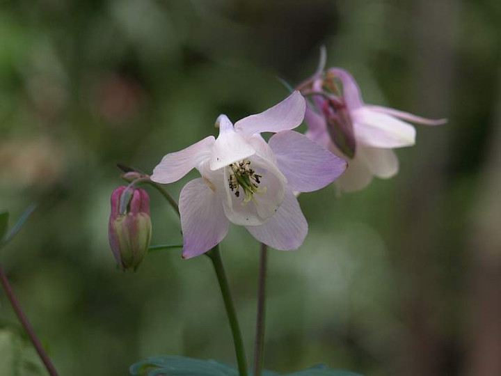P4171203