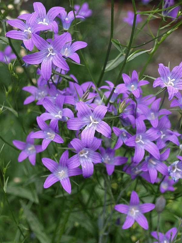 P5024242