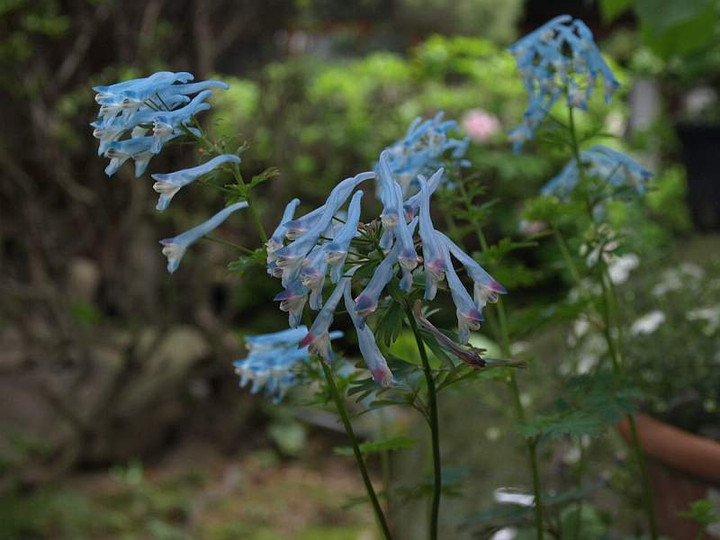 P5054983