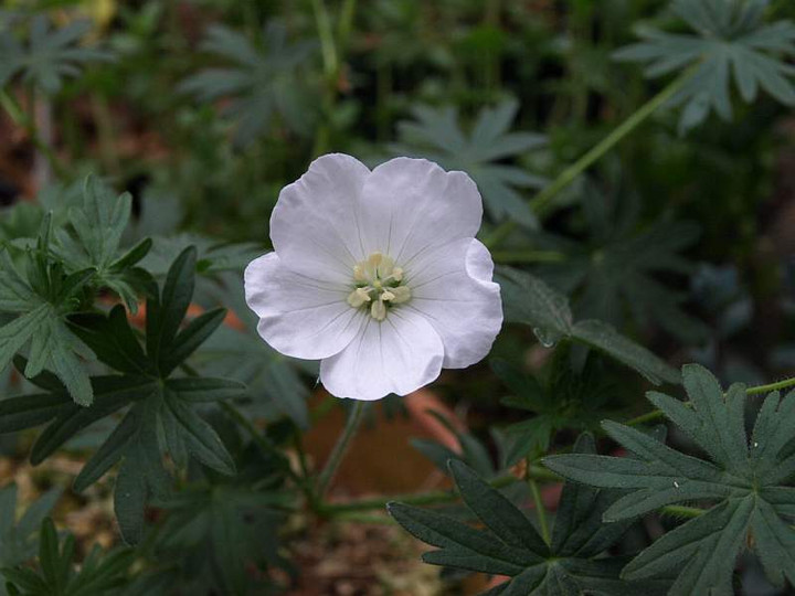 P5054913