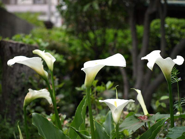 P5055008