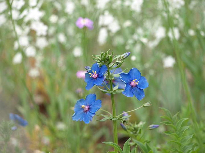 P5055046
