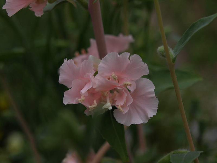 P5095519