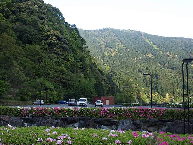 P5034258