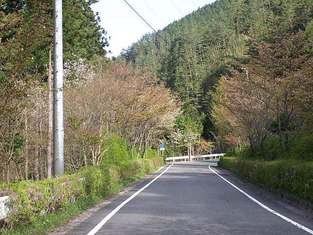 P5034260