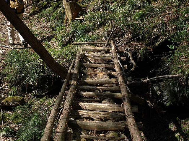 P5034291