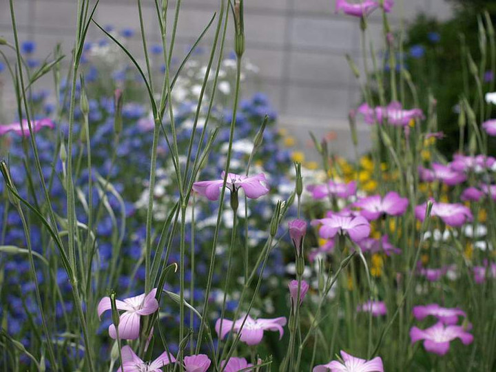P5055032