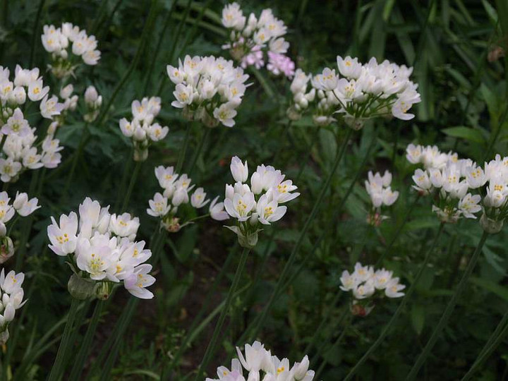 P5054917