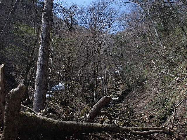 P5034397_2