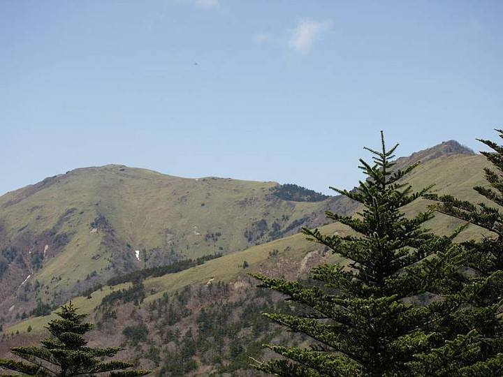 P5034438