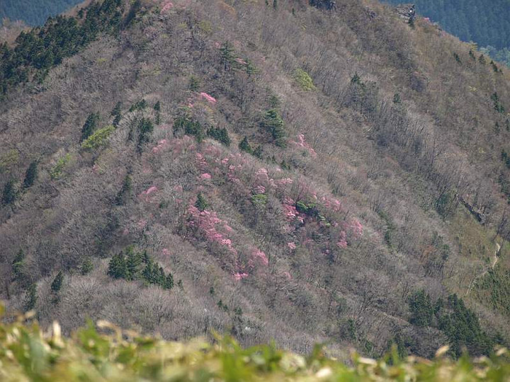 P5034504
