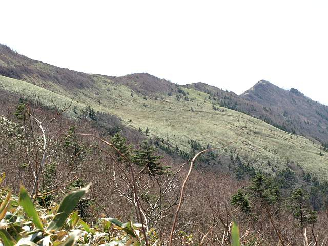 P5034507