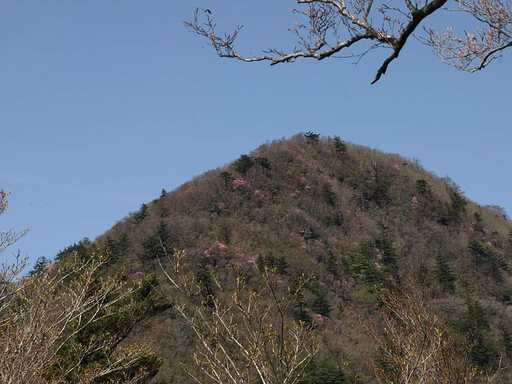 P5034545