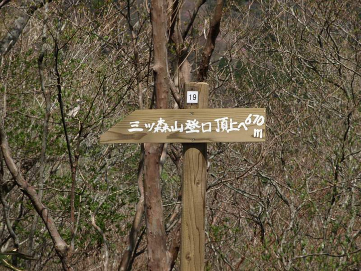 P5034578