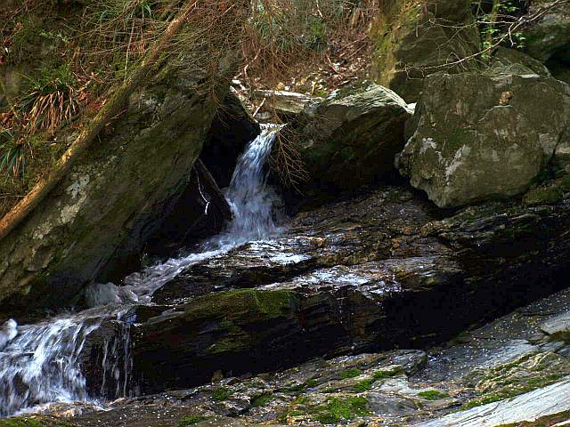 P5034696