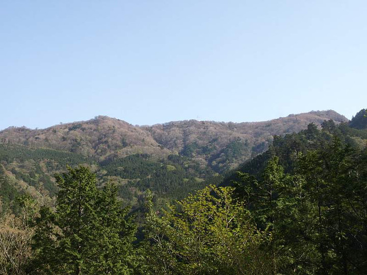 P5034711