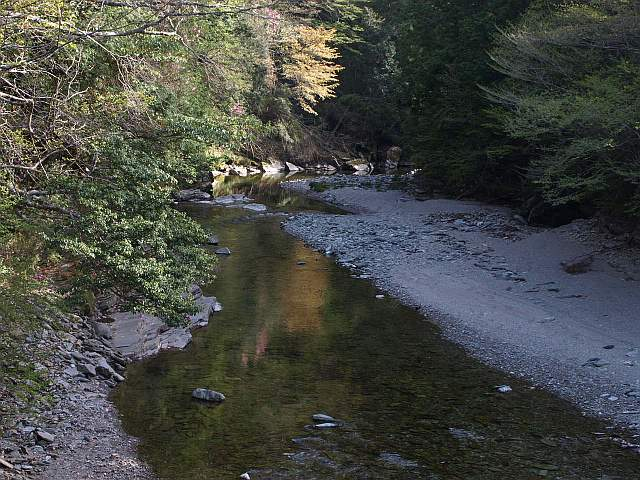 P5034716