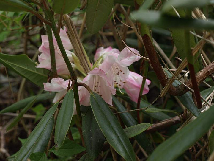 P5044751