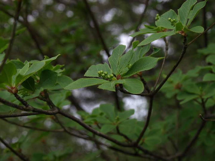 P5044752
