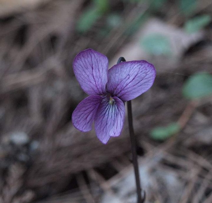P5044877