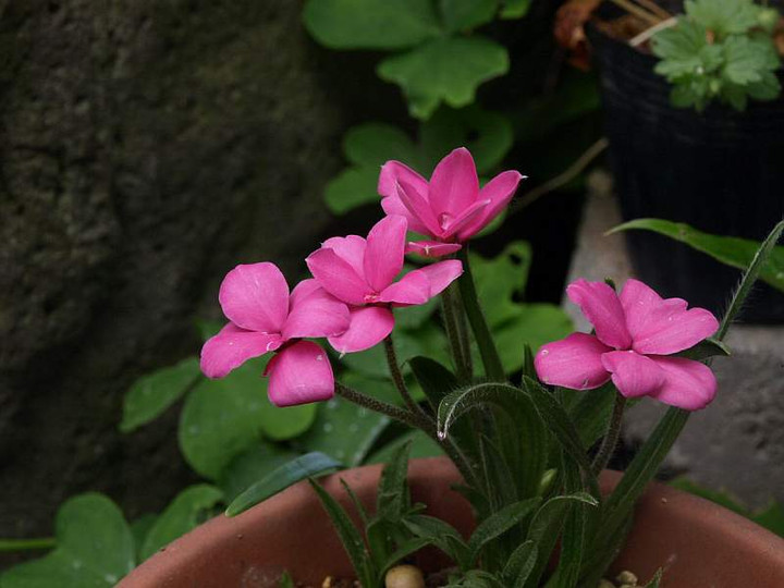 P5054902