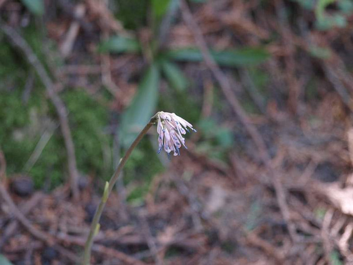 P5065077