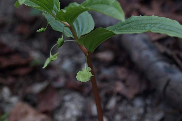 P5065120