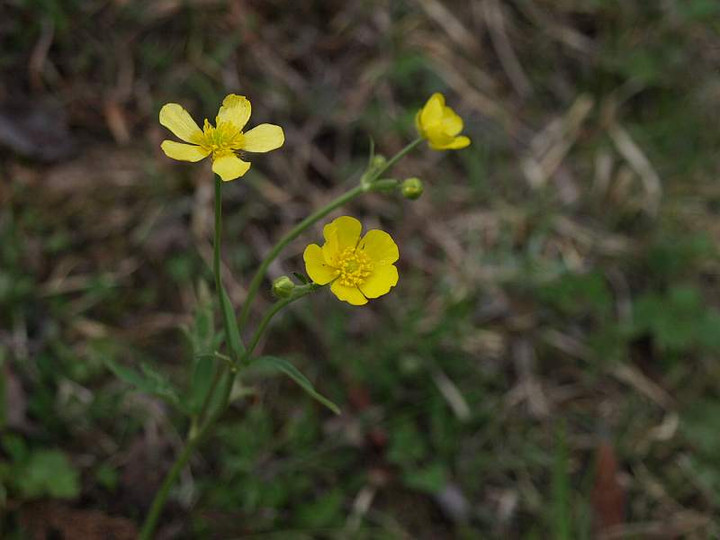 P5065201