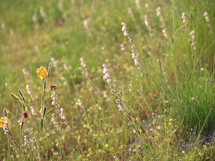 P5065307