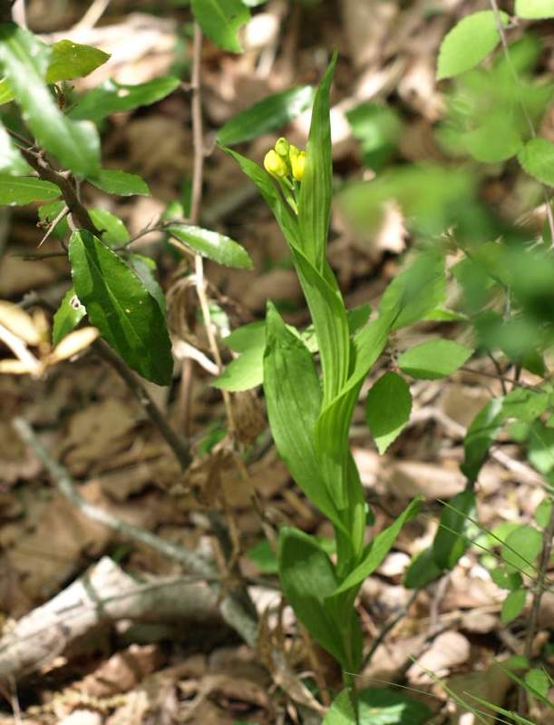 P5085340