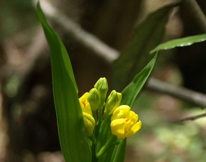 P5085344