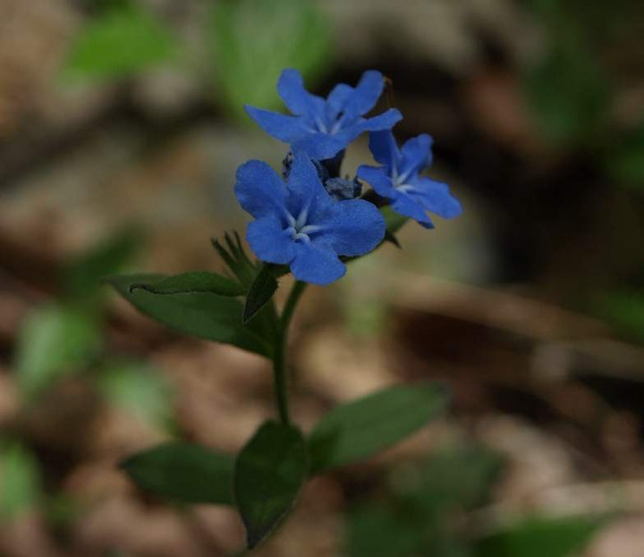 P5085360