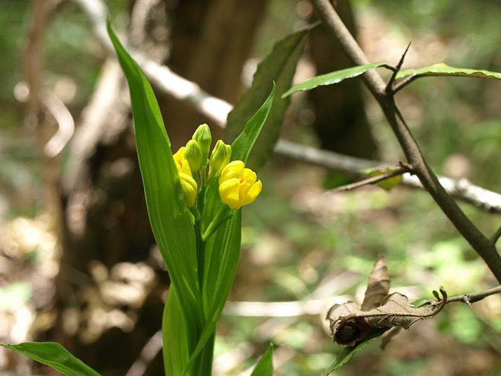 P5085367