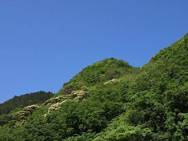 P5125617
