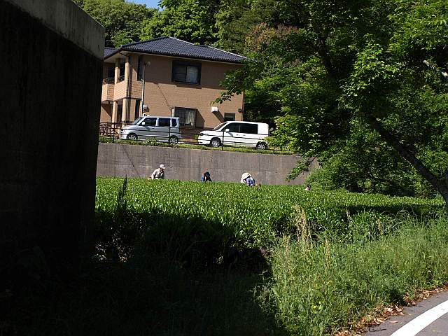 P5125627