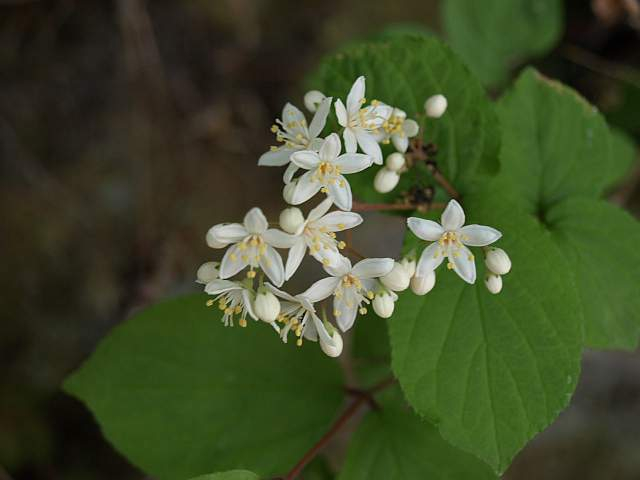 P5125629