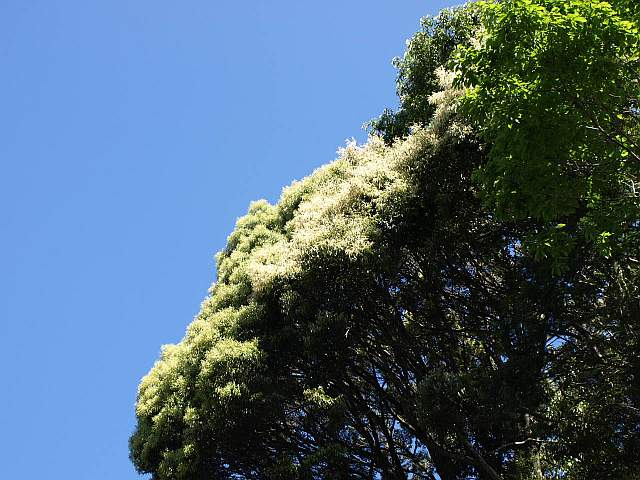P5125632