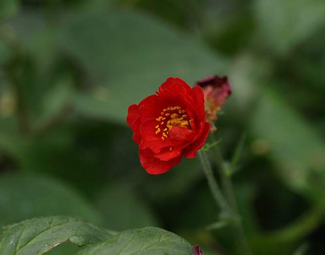P5095546