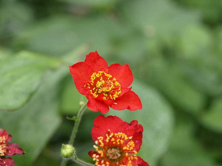 P5095547