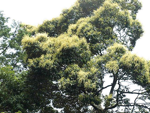 P5125853
