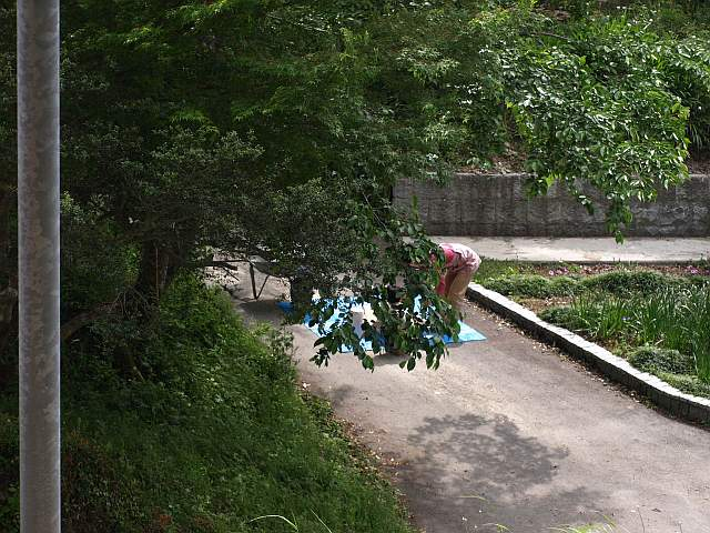 P5125855