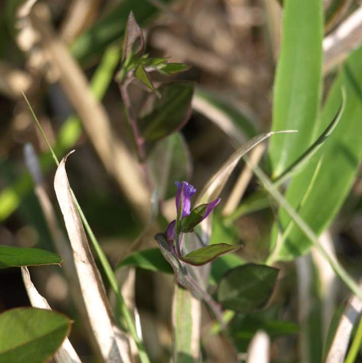 P5156140