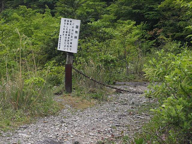 P5187058