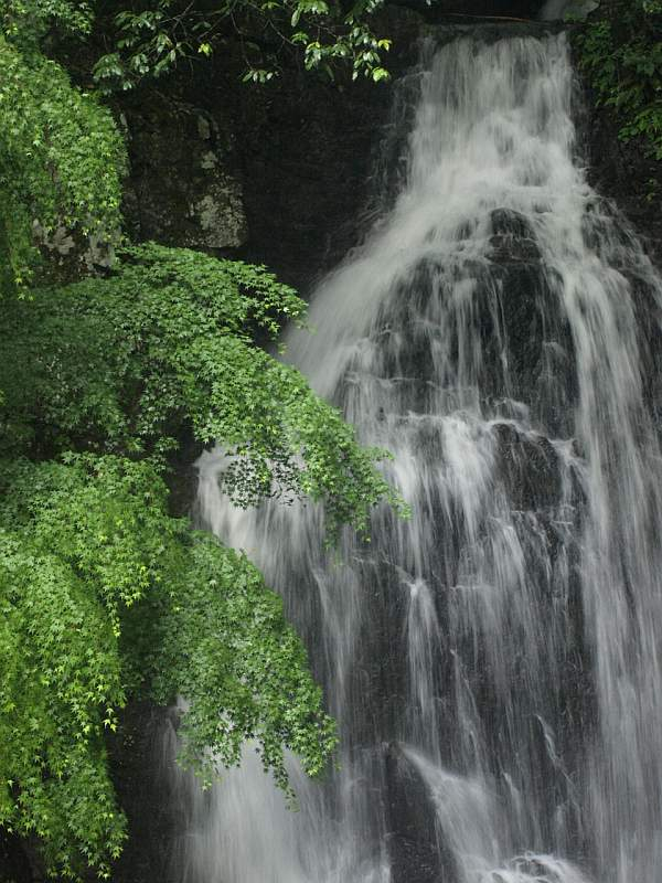 P5257585