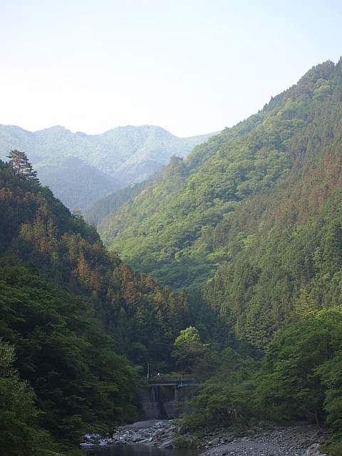 P5278040totyuuno_yama