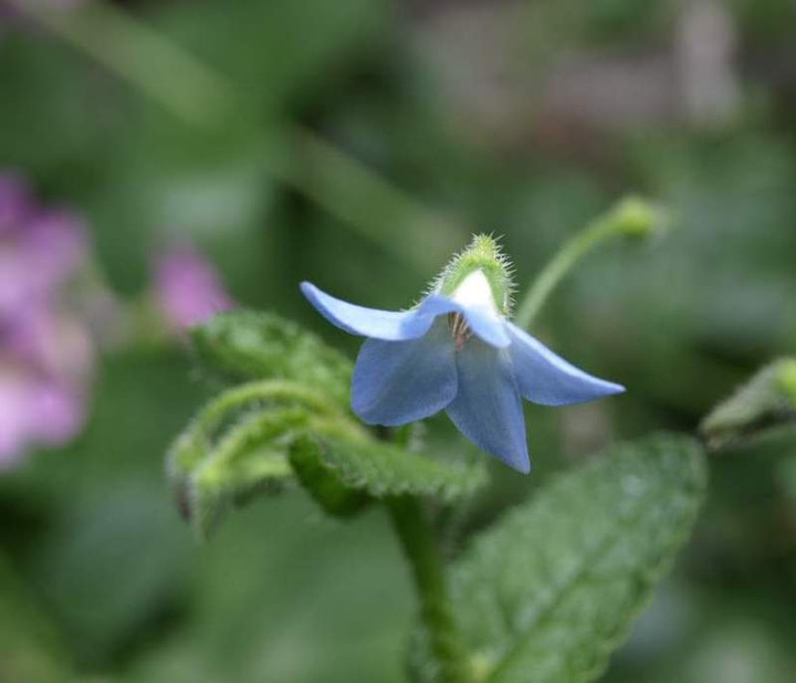 P5288771