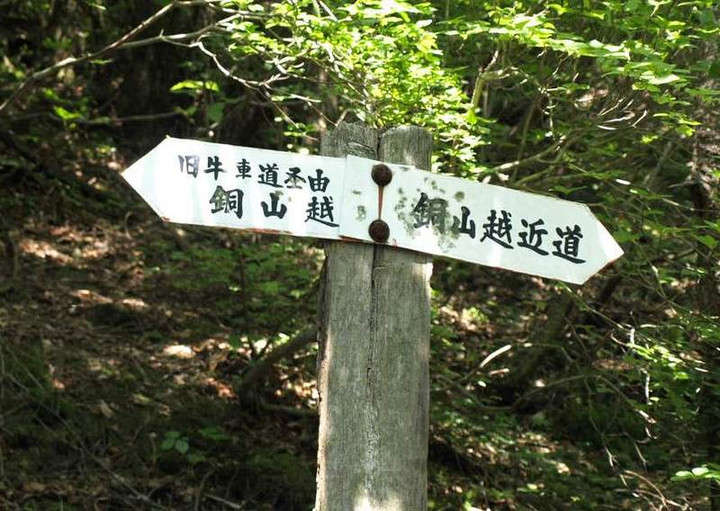 P5278247