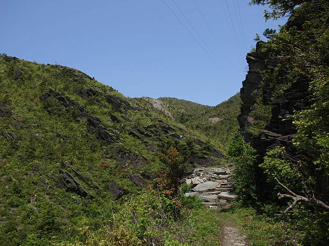 P5278278