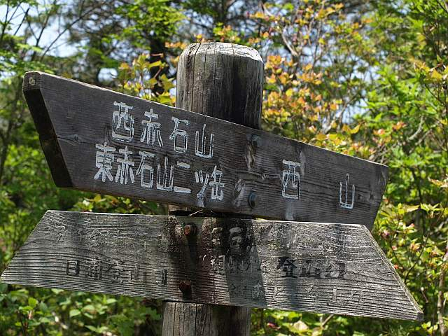 P5278338